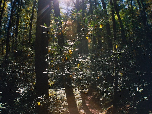 Great Smoky Mountains in the Fall